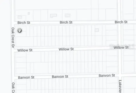 00 Birch Street Interlachen FL 32148