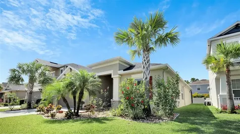 8830 Tropical Palm Drive Tampa FL 33626