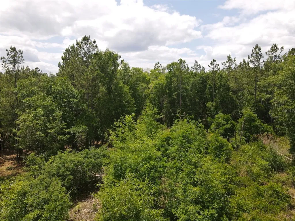 Tbd N State Road 121 Alachua FL 32615