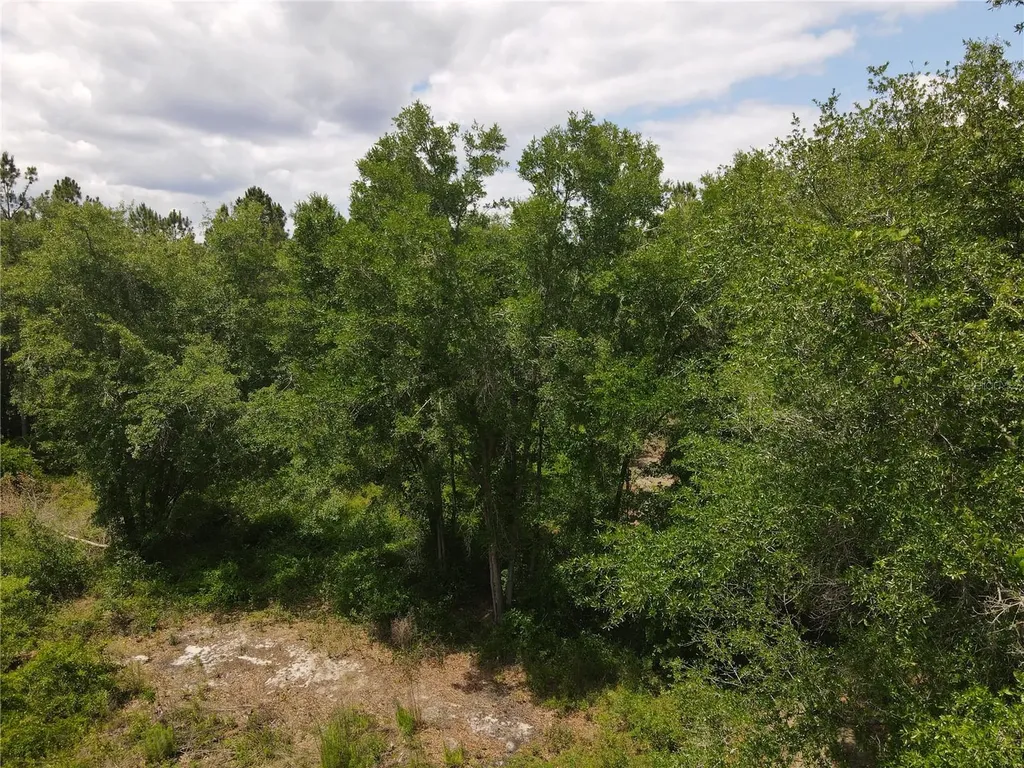 Tbd N State Road 121 Alachua FL 32615