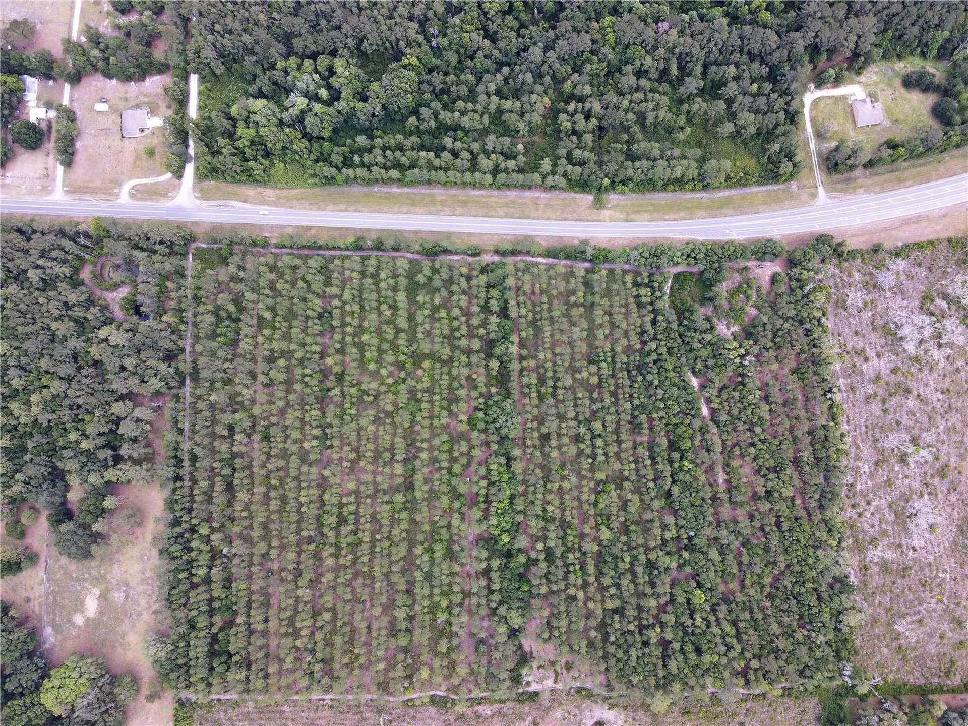 Tbd N State Road 121 Alachua FL 32615