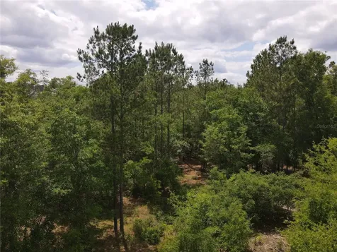 Tbd N State Road 121 Alachua FL 32615