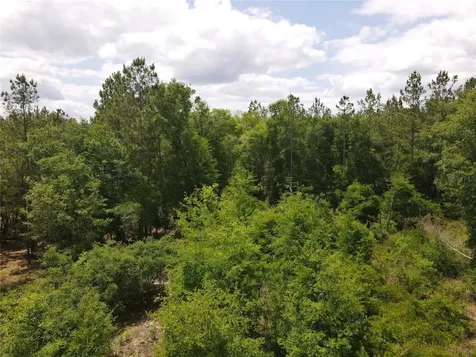 Tbd N State Road 121 Alachua FL 32615