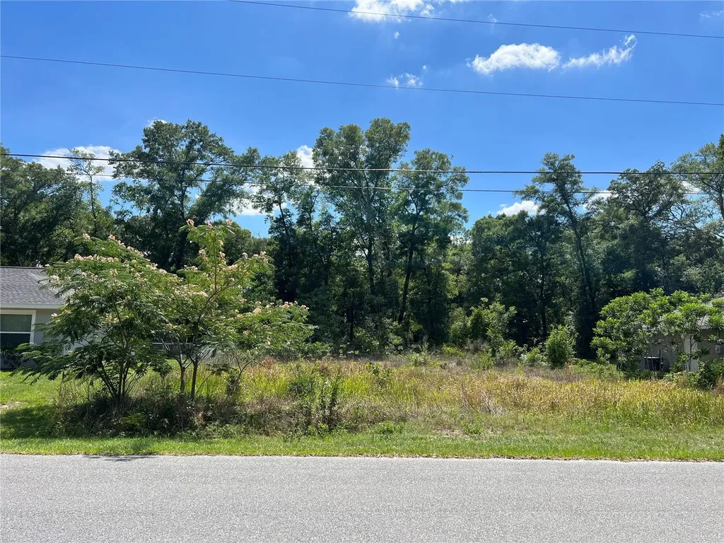 12356 SE 67th Terrace Road Belleview FL 34420