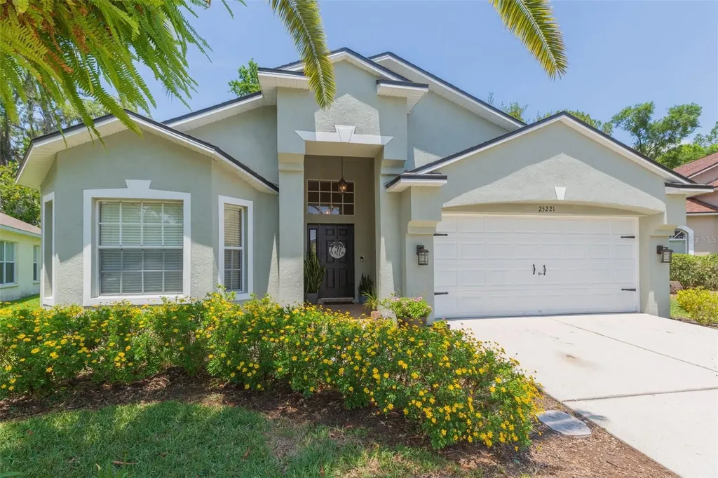 25221 Geddy Drive Land O Lakes FL 34639