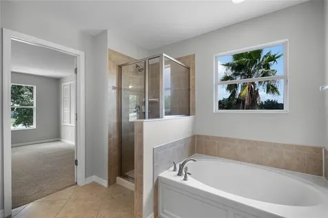 30102 Cheval Street Mount Dora FL 32757