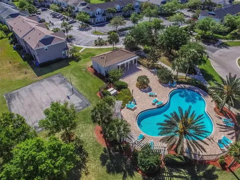 12204 Country White Circle Tampa FL 33635