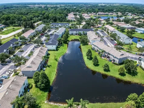12204 Country White Circle Tampa FL 33635
