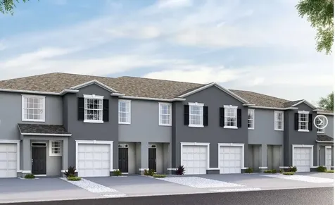 32233 Turtle Grace Loop Wesley Chapel FL 33545