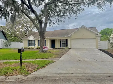 1323 Peachfield Drive Valrico FL 33596