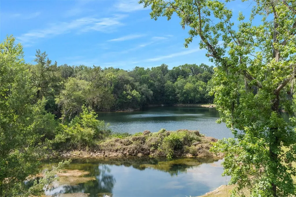 9986 E New Hope Court Floral City FL 34436