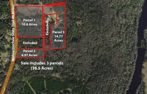9986 E New Hope Court Floral City FL 34436