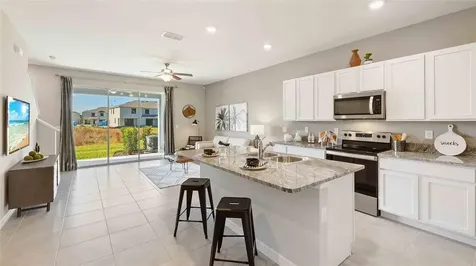 33023 Tulip Petal Lane Wesley Chapel FL 33545