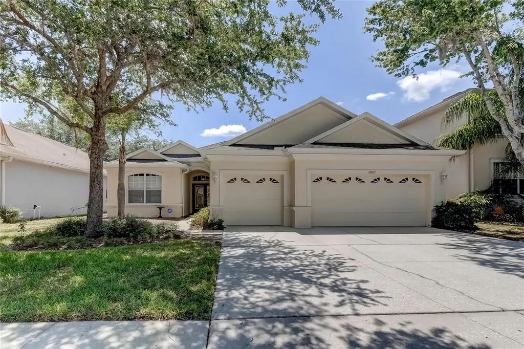 10502 Sky Flower Court Land O Lakes FL 34638