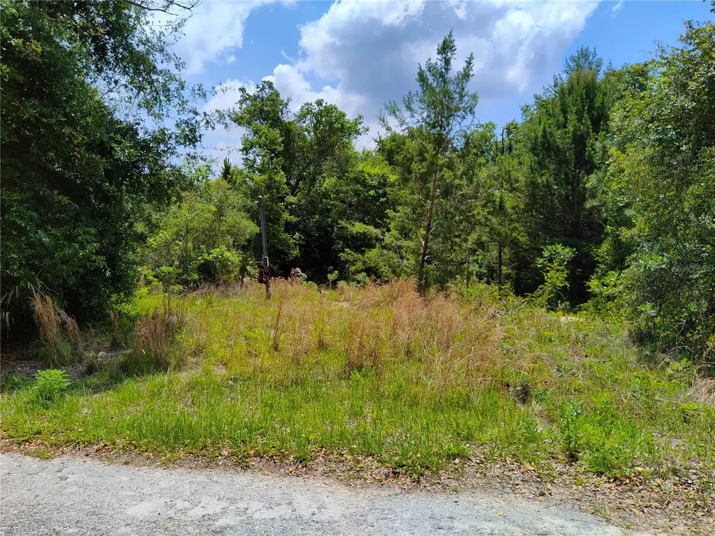 40306 Lime Street Eustis FL 32736