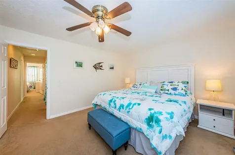 325 Woods Landing Trail Oldsmar FL 34677