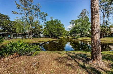 325 Woods Landing Trail Oldsmar FL 34677