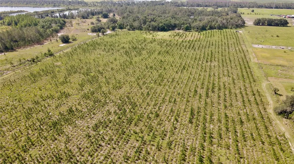 Lithia FL 33547