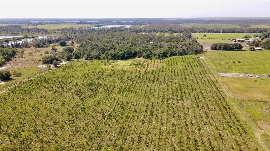 Lithia FL 33547