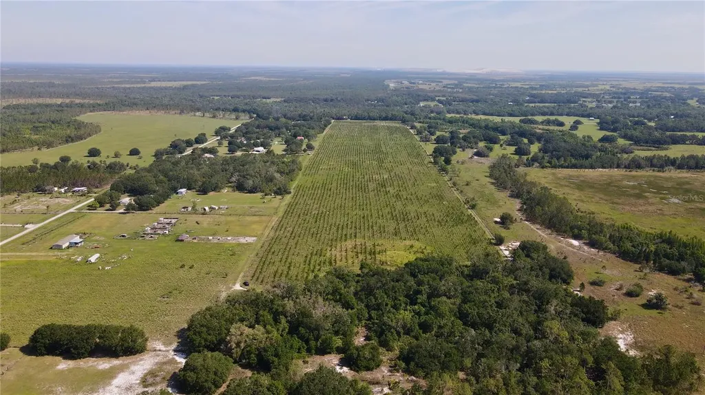 Lithia FL 33547
