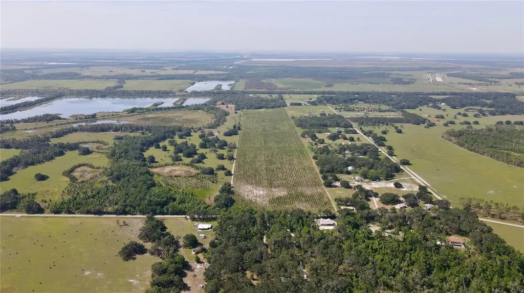 Lithia FL 33547