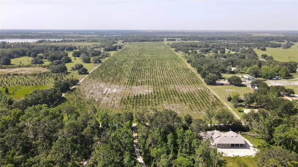 Lithia FL 33547