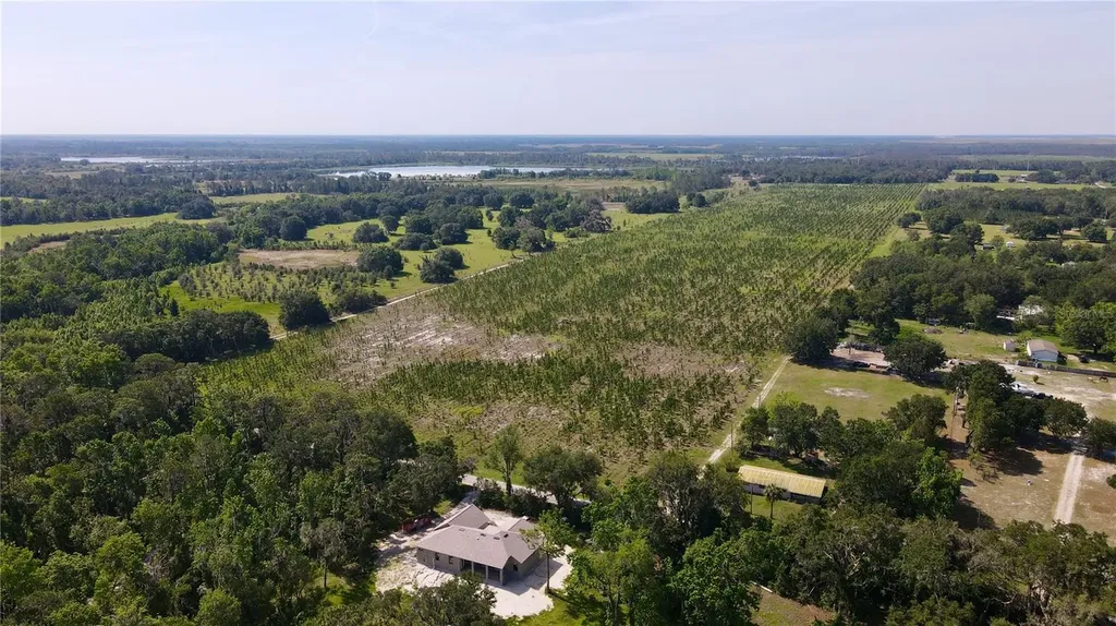 Lithia FL 33547