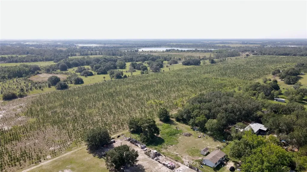 Lithia FL 33547