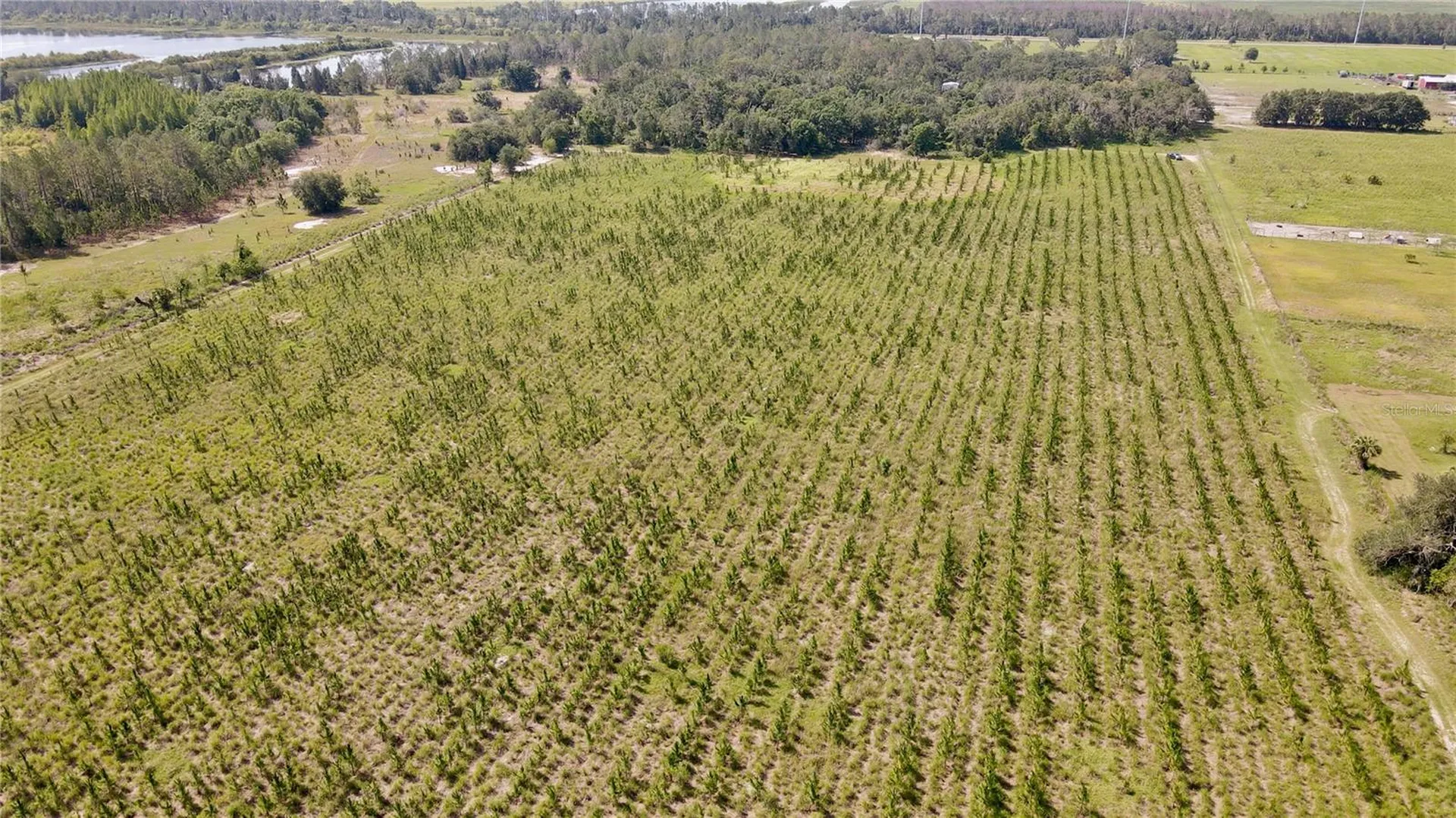Lithia FL 33547