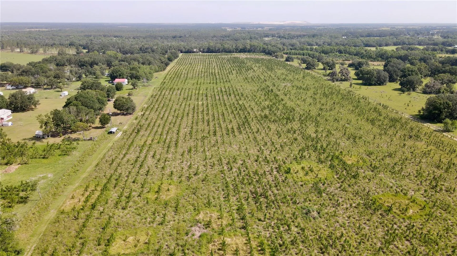 Lithia FL 33547