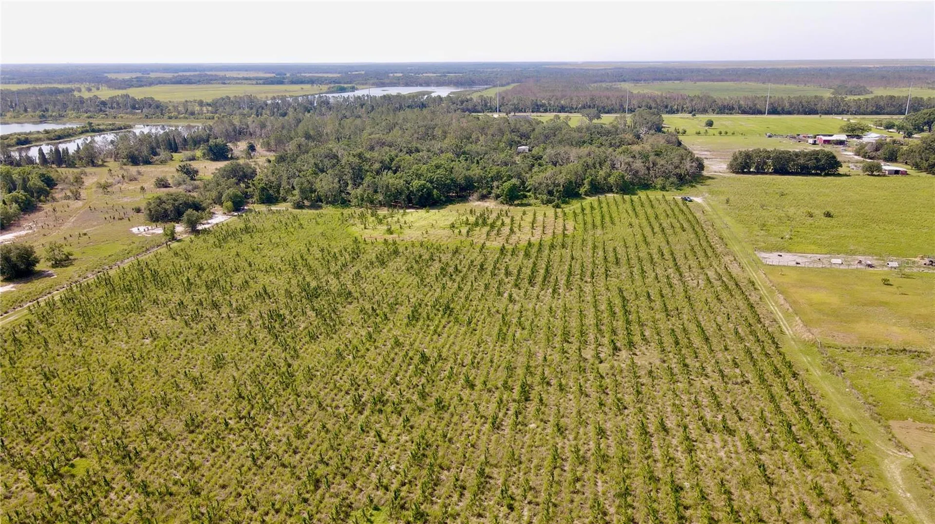 Lithia FL 33547