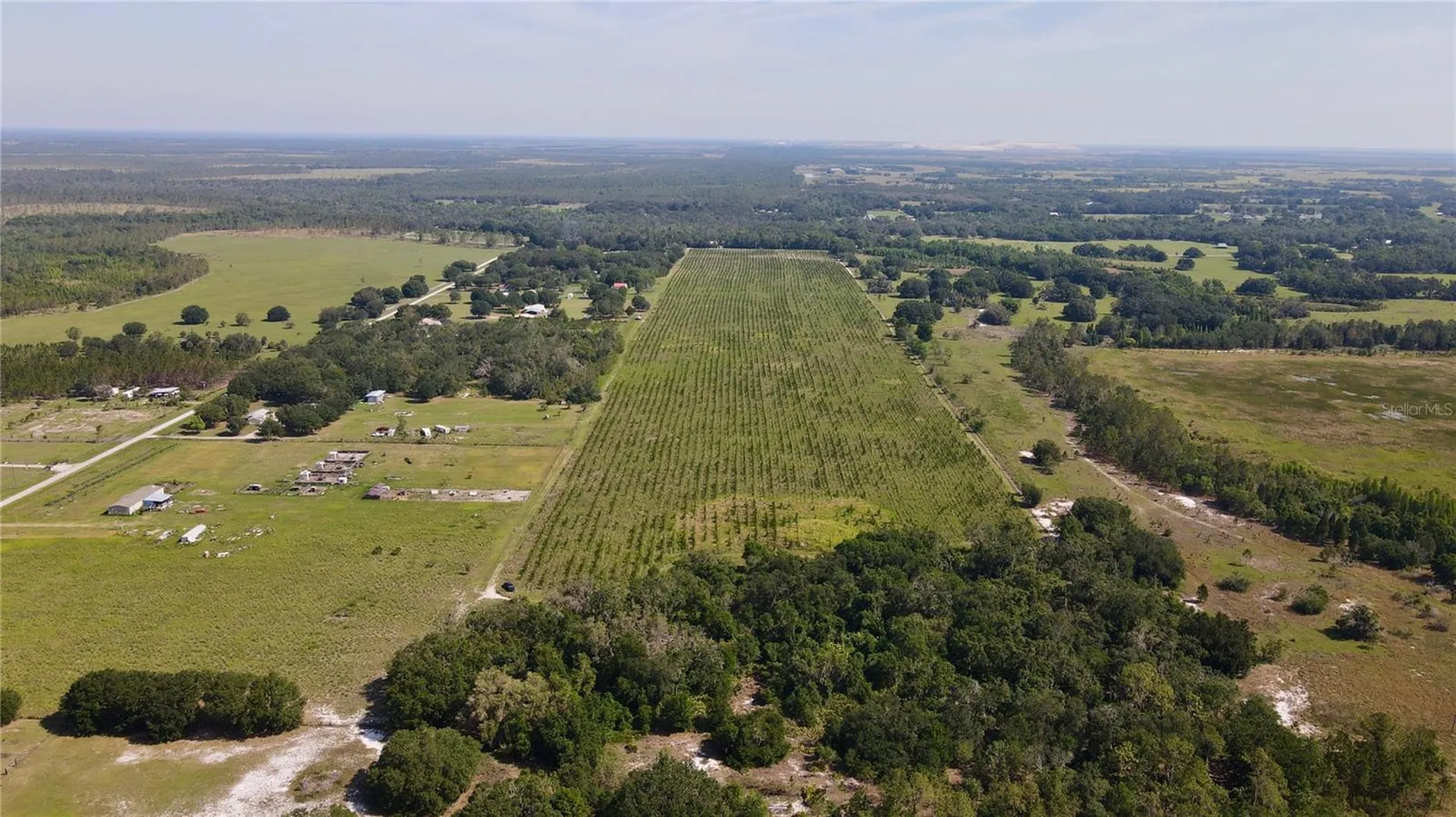 Lithia FL 33547