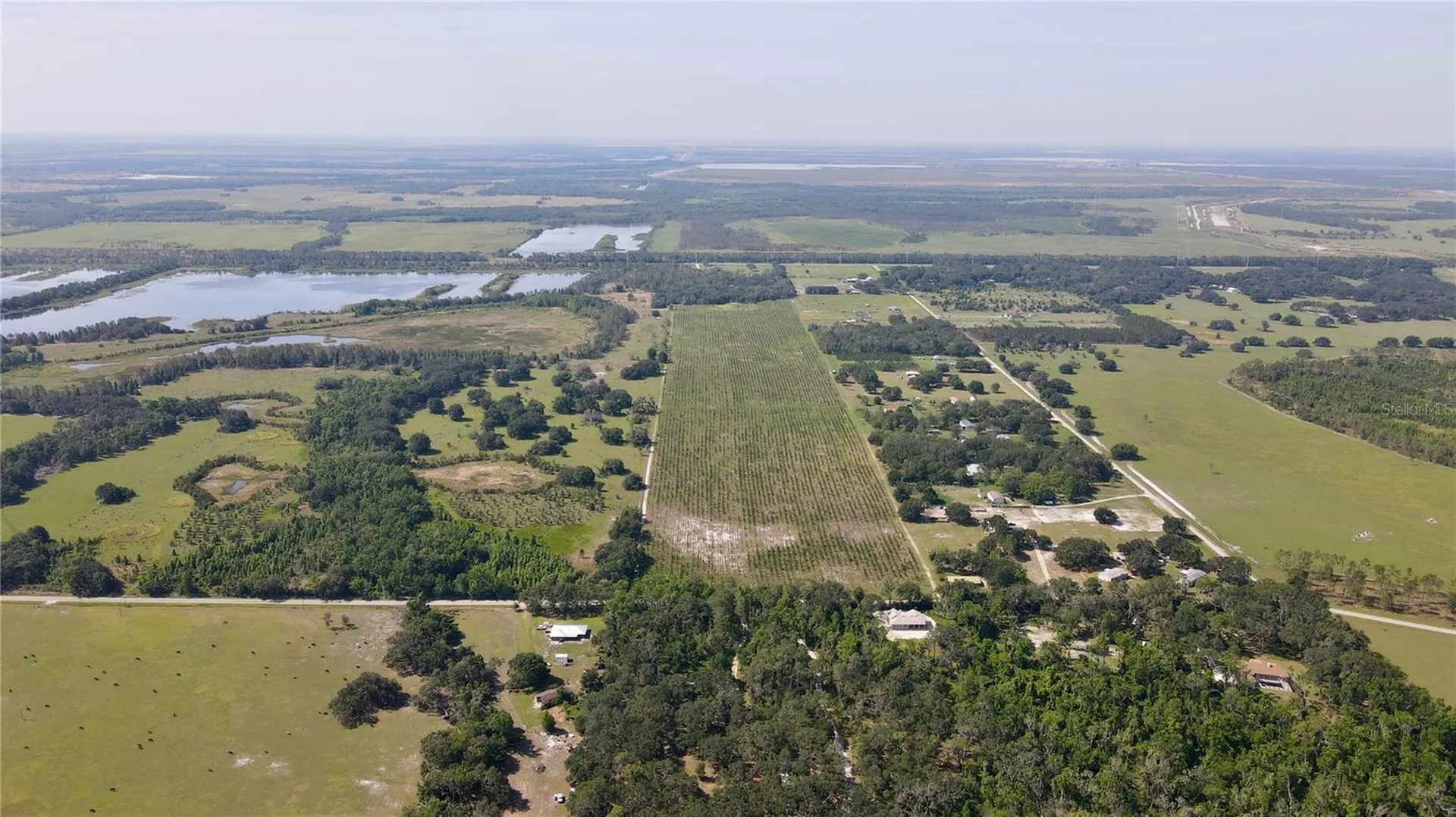 Lithia FL 33547