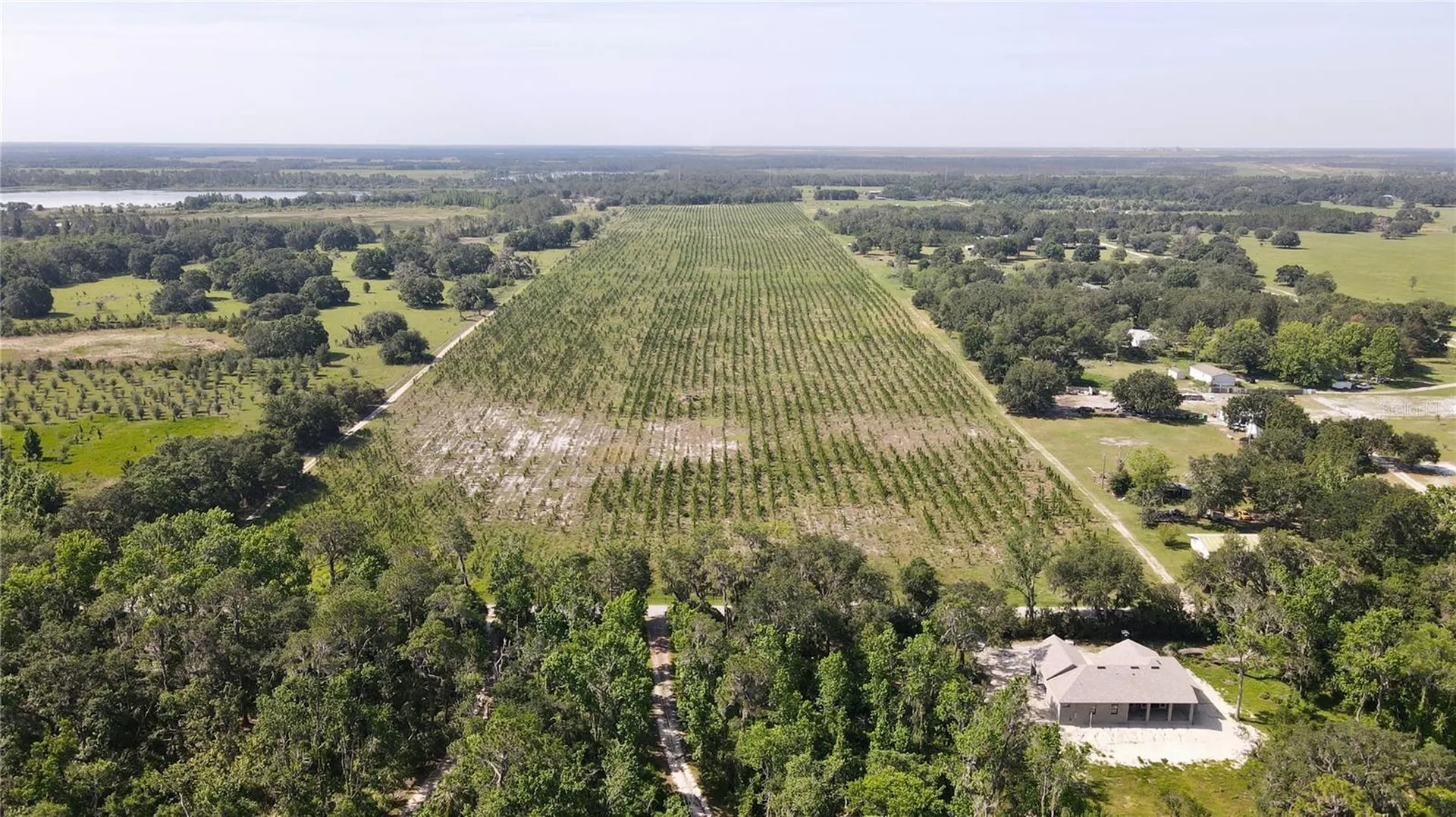 Lithia FL 33547