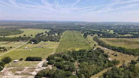 Lithia FL 33547