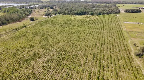 Lithia FL 33547