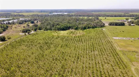 Lithia FL 33547