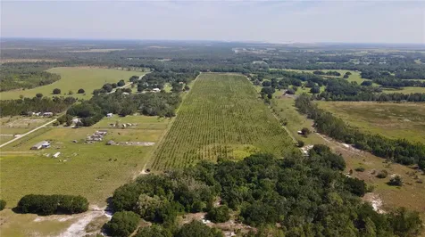 Lithia FL 33547
