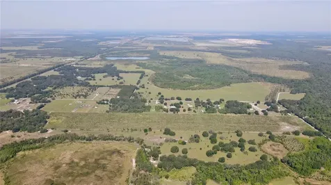 Lithia FL 33547