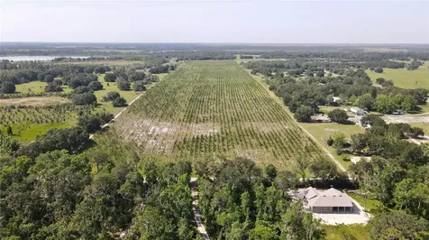 Lithia FL 33547