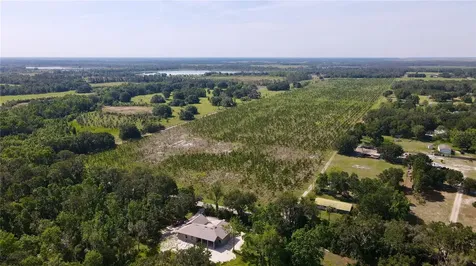 Lithia FL 33547