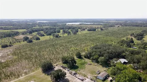 Lithia FL 33547