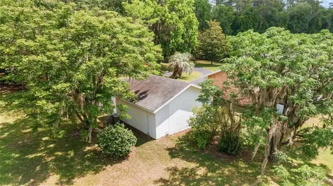 10210 NW 200th Street Road Micanopy FL 32667