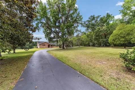 10210 NW 200th Street Road Micanopy FL 32667