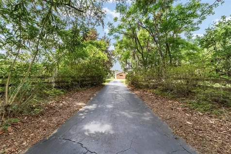 10210 NW 200th Street Road Micanopy FL 32667