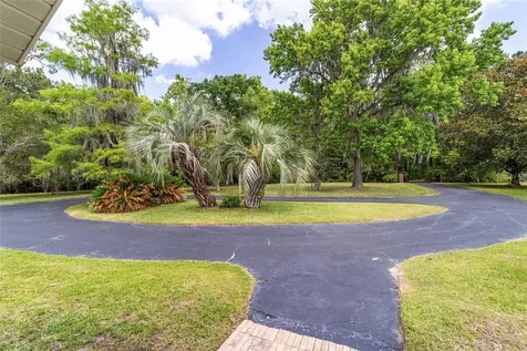 10210 NW 200th Street Road Micanopy FL 32667