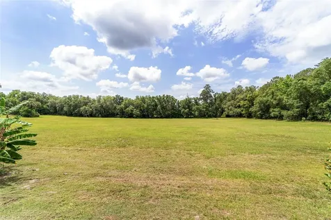 10210 NW 200th Street Road Micanopy FL 32667