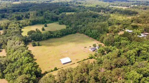 10210 NW 200th Street Road Micanopy FL 32667