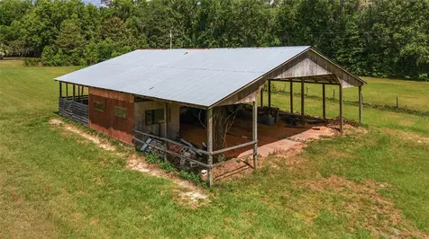 10210 NW 200th Street Road Micanopy FL 32667
