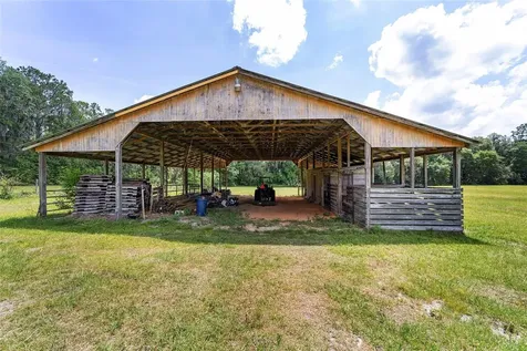 10210 NW 200th Street Road Micanopy FL 32667